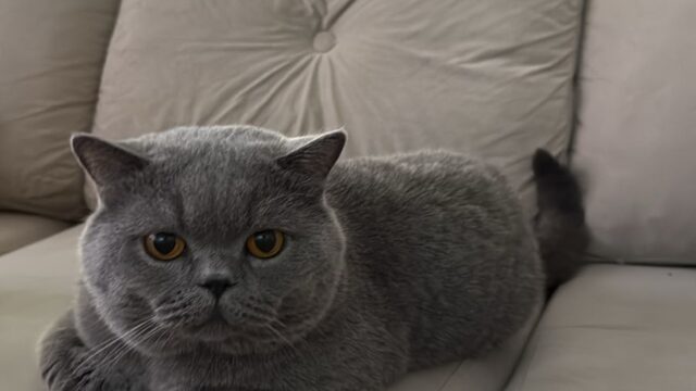 WhatsApp-Image-2025-12-28-at-11.39.40