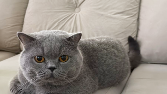 WhatsApp-Image-2025-12-28-at-11.39.40