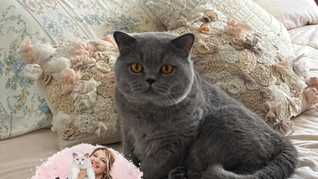 WhatsApp-Image-2026-01-02-at-15.43.28-1