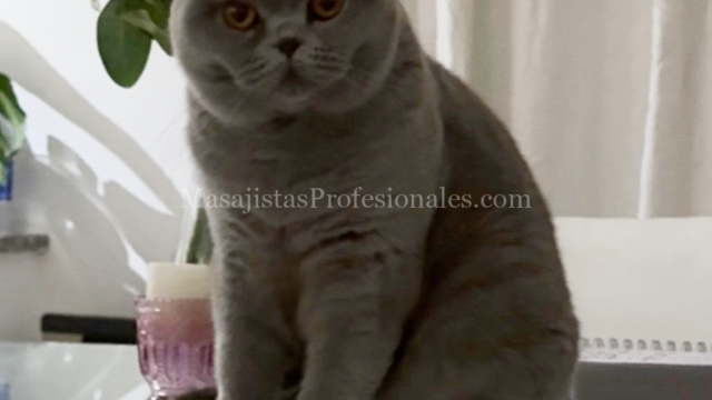 WhatsApp-Image-2026-01-20-at-16.27.57-1