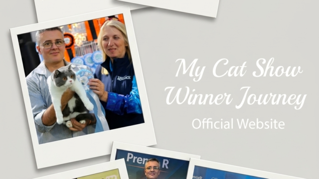 Gemini_Generated_Image_tmkitstmkitstmki-1