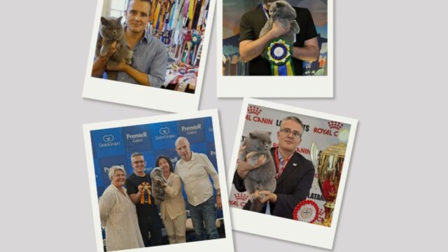 WhatsApp-Image-2026-04-05-at-20.32.50