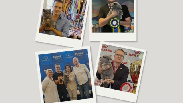 WhatsApp-Image-2026-04-05-at-20.34.12